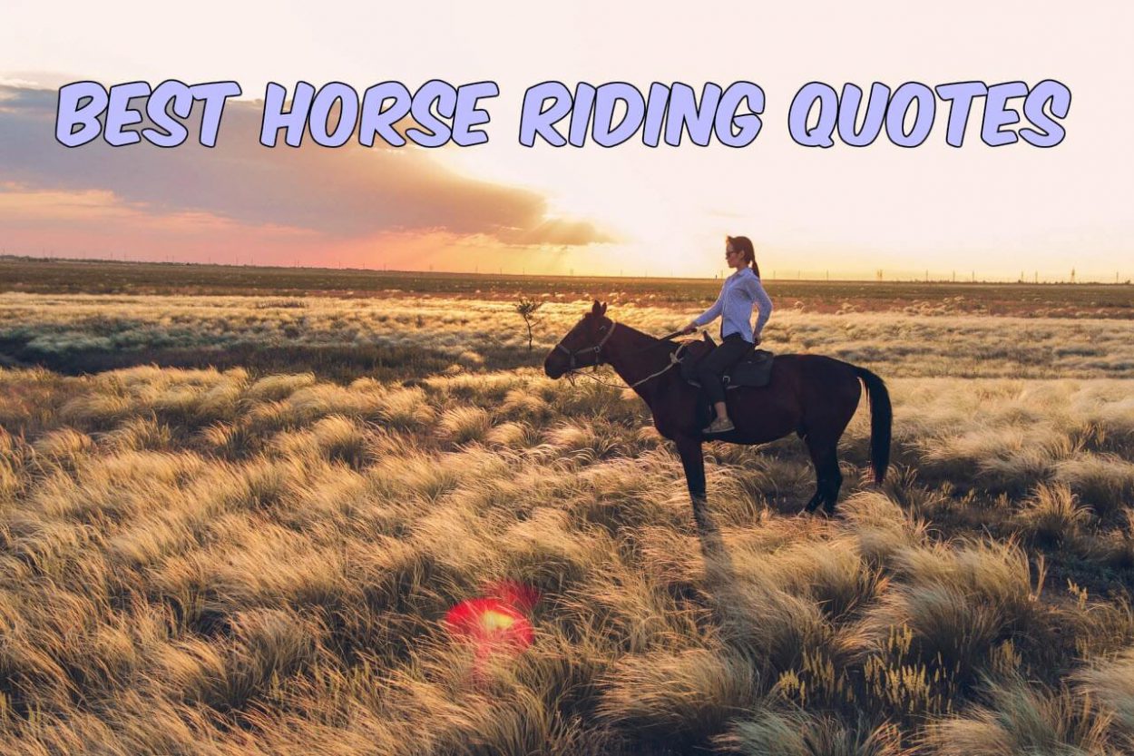 Horse riding quotes