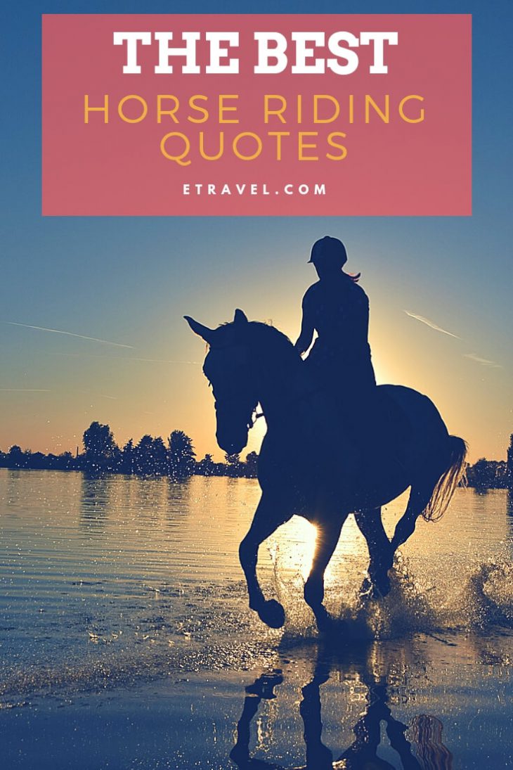 Pin- Horse riding quotes